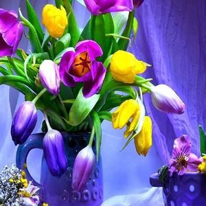 Meet your Posher, Sylvia